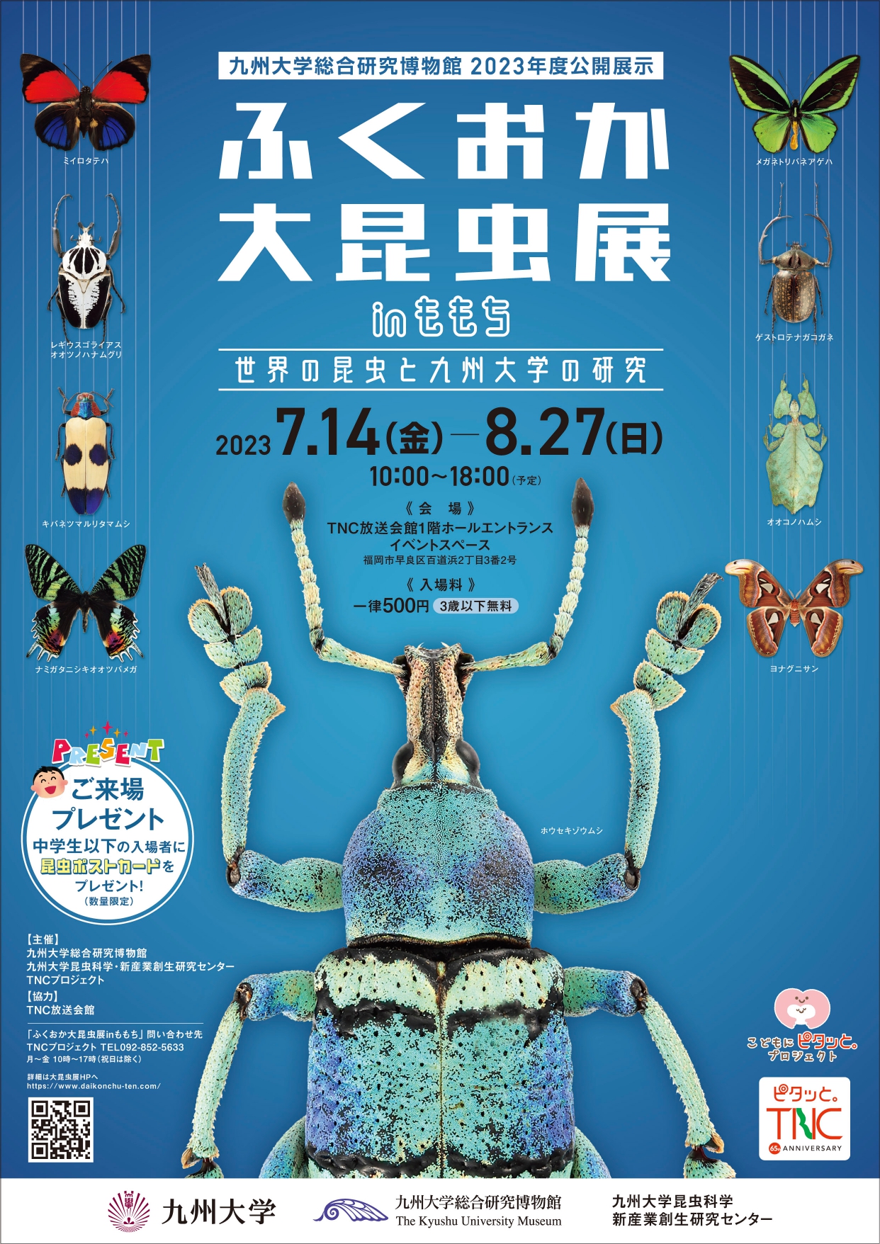 昆虫大系 ca55f2ab1b872f739c24bbb7506111