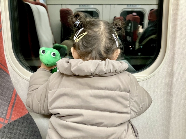 「発達グレーの子連れ帰省」義実家がしんどすぎて、予定を早めて3日で帰った話