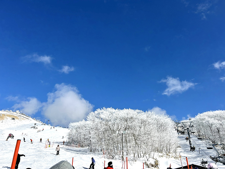 この冬は九州最大級の「くじゅうスキー場」へ！真っ白な雪の上で、特別