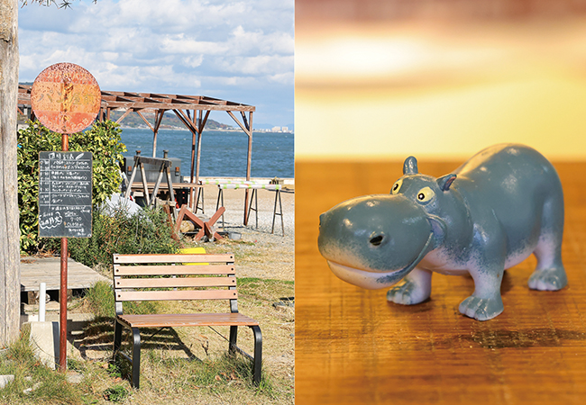 画像に alt 属性が指定されていません。ファイル名: hippo_0Q6A6304.jpg