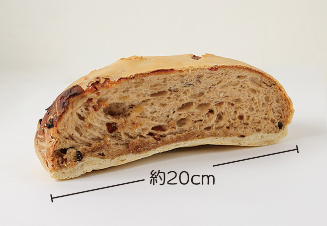 画像に alt 属性が指定されていません。ファイル名: hippo_0Q6A6369.jpg