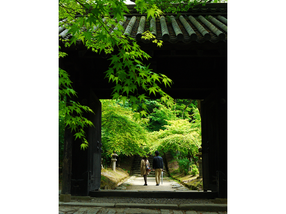 福岡県朝倉市秋月の紅葉と城下町の庭園風景
